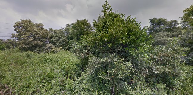 ร้านนายลี้เชลล์ชวนชิมสาขานครปฐม