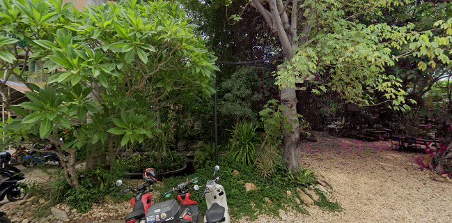 Pa Klang Mueang Café | ป่ากลางเมือง Café & Co-Working space