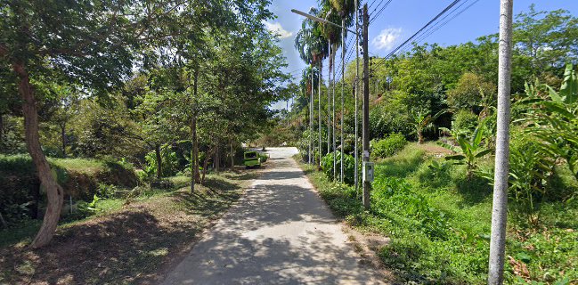 เคน กะ ปาล์ม ข้าวเหนียวมะม่วง