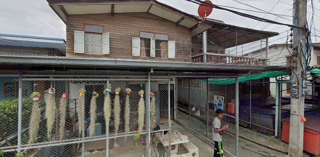 ร้านพี่รงค์พี่บอน ปลาสด ตลาดสดเทศบาล สุราษฎร์ธานี