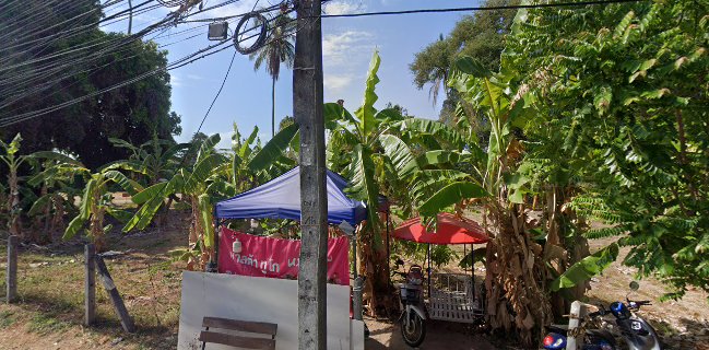 Madre Pasta Box@Rawai