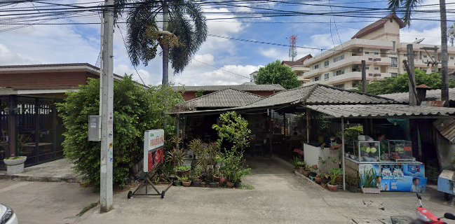 ร้านอาหารทะเล หมึกซาซิมิ@ซีฟู๊ด