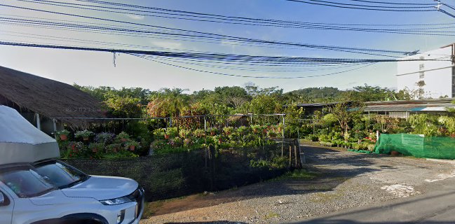 ชาบังนัน442 บ้านสวนผัก@พัทลุง