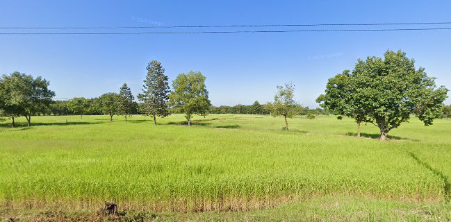 กลุ่มเกษตรกรทำนาหนองระฆัง