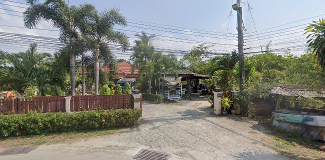 ราชาหมาป่าพ่นไฟ ท่าเรือภูเก็ต