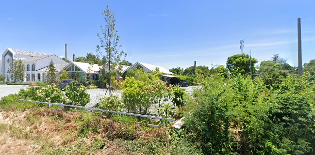 Ma Cheminee tree & coffee house