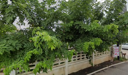 ครัวกลางซอย อาหารป่า