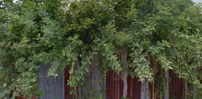 บริษัท ซี แมชชีนเนอรี่ จำกัด