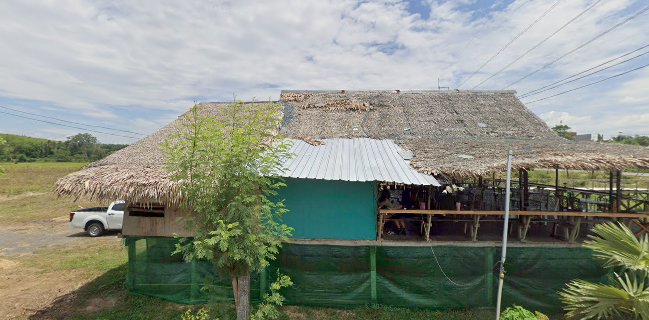 ชายทุ่ง@ท่าปาบ