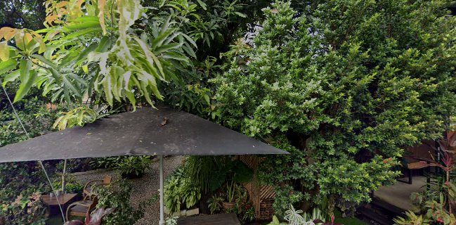 THE FOREST COFFEE HAUS PHITSANULOK