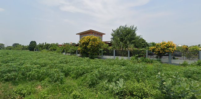 สเต็กน้องภูชิ