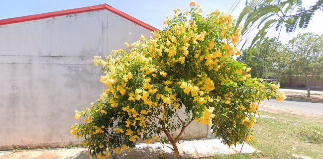 ไก่ย่างวิเชียร (เฮียกอล์ฟ)