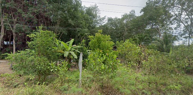 ก่อกิจเจริญน้ำยางสด