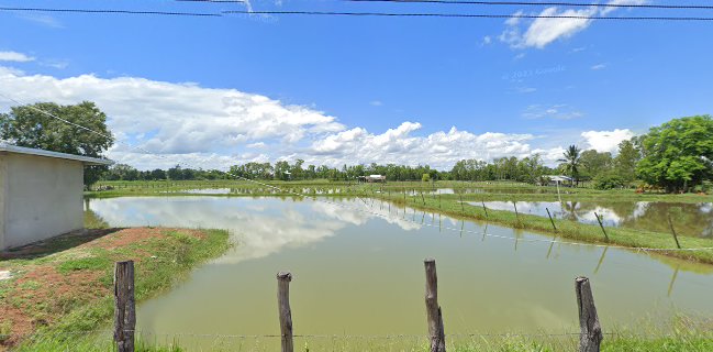 ขายอาหารทะเลแห้ง