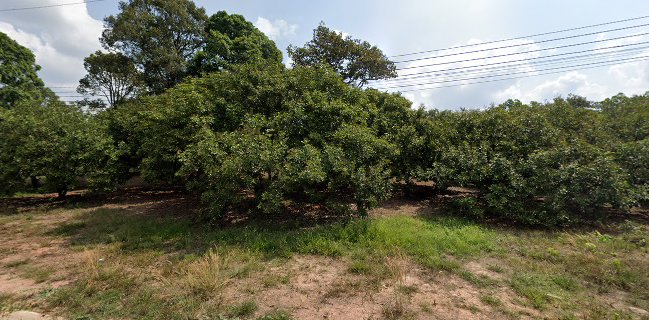 ร้านเจ้กรอง ลาบ ส้มตำ