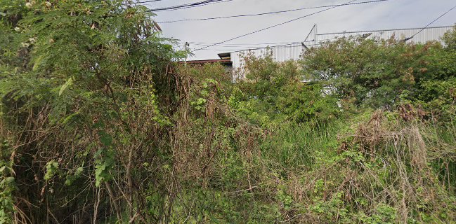 The pizza company the one park ลาดปลาดุก