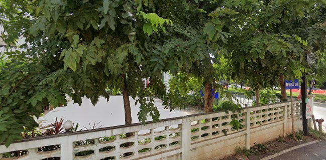 ครัวกลางซอย อาหารป่า