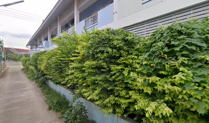 ก๋วยเตี๋ยวช่อทิพย์