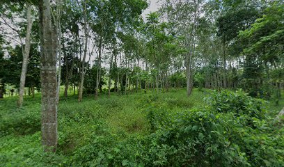 ร้านข้าวเช้าร่มเมือง