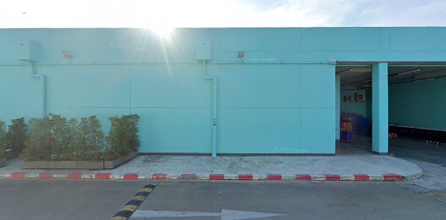 YouKillMe, Belem Tart Original Homemade