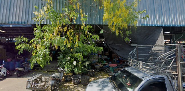 เจ้หนุ่ยแตงโมทุเรียน